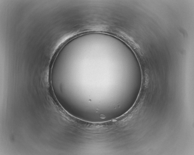 X0000116351174200912011404