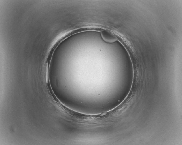 X0000116351175200912011404