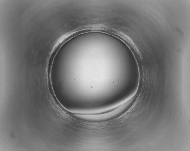 X0000116351176200912011404