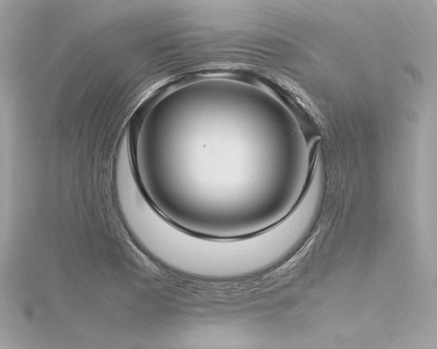 X0000116351177200912011404