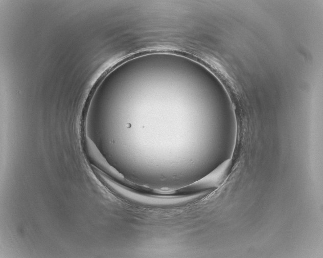 X0000116351181200912011404