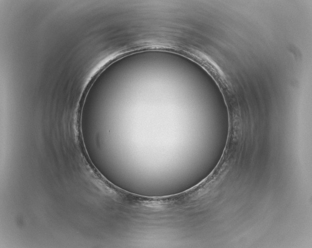 X0000116351182200912011404