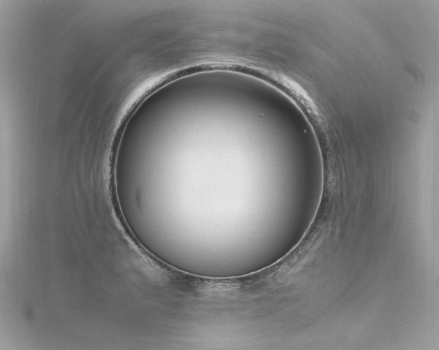 X0000116351183200912011404