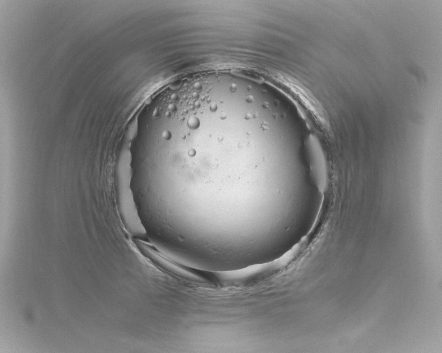 X0000116351185200912011404