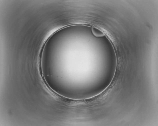 X0000116351187200912011404