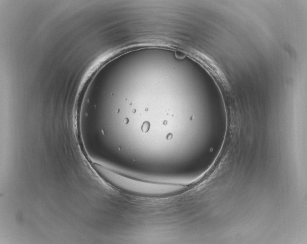 X0000116351188200912011404