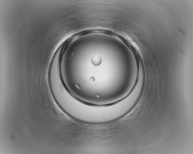 X0000116351189200912011404