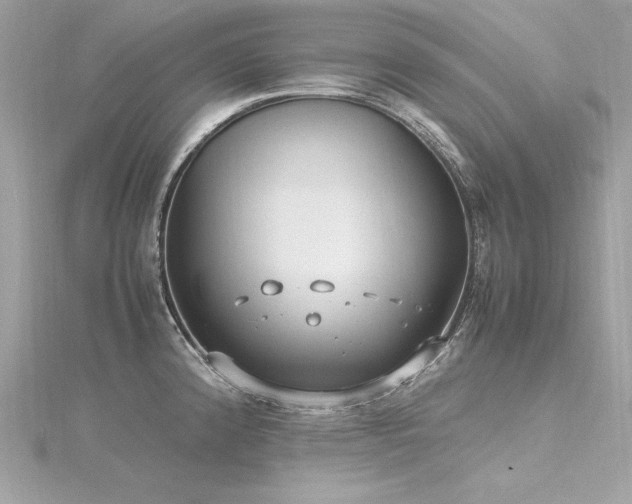 X0000116351192200912011404