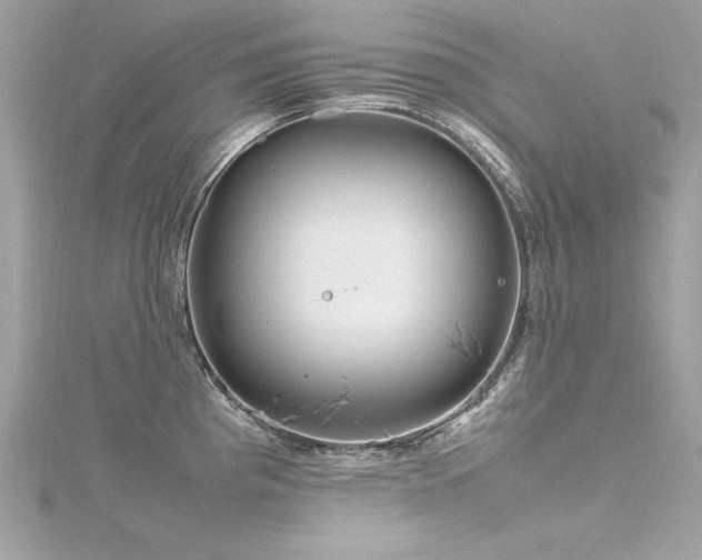 X0000116351193200912011404