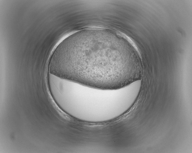 X0000116351195200912011404