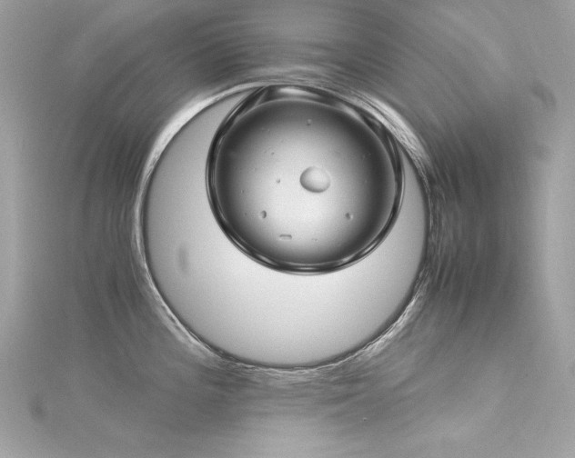 X0000116351196200912011404