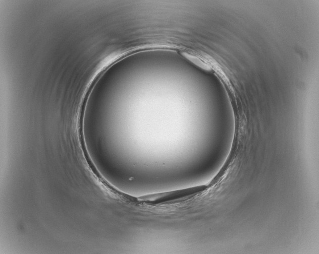 X0000116351197200912011404