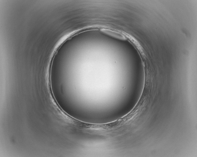 X0000116351199200912011404