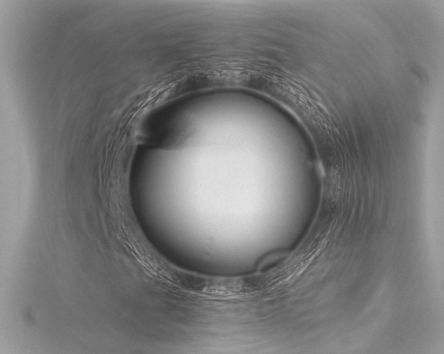 X0000116351201200912011403