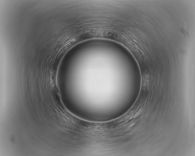 X0000116351202200912011403