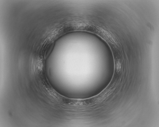 X0000116351204200912011403