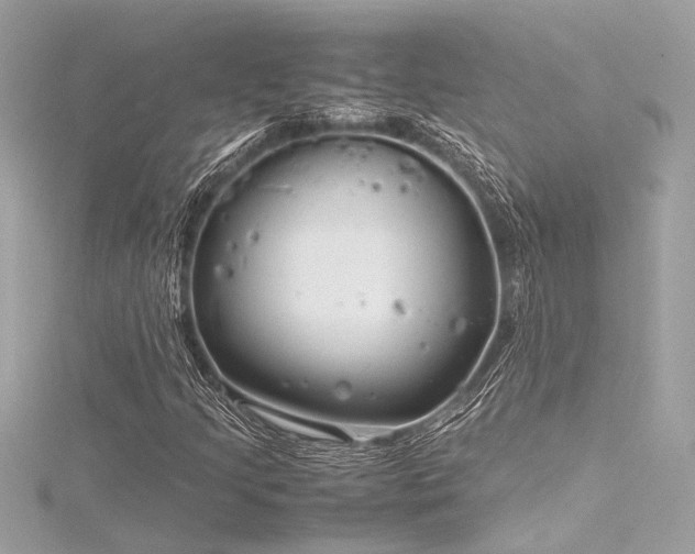 X0000116351205200912011403