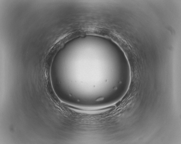 X0000116351206200912011403