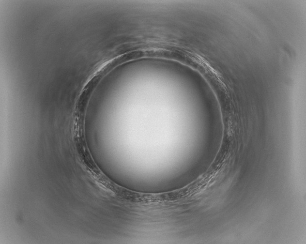 X0000116351208200912011403