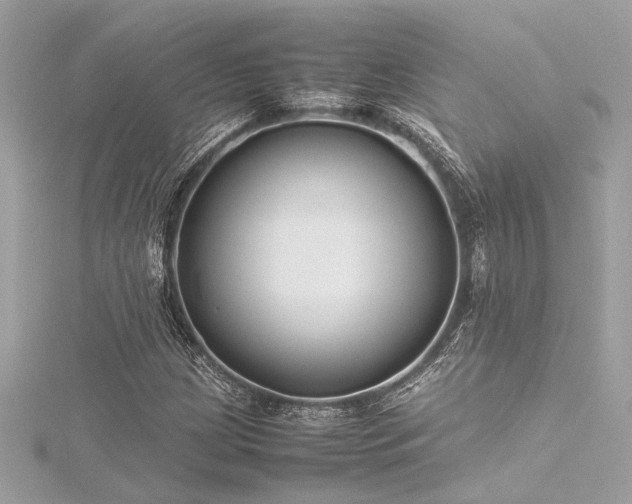 X0000116351209200912011403