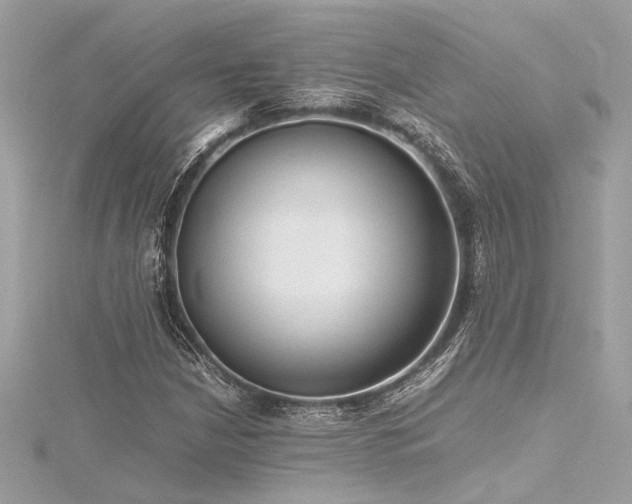 X0000116351210200912011403