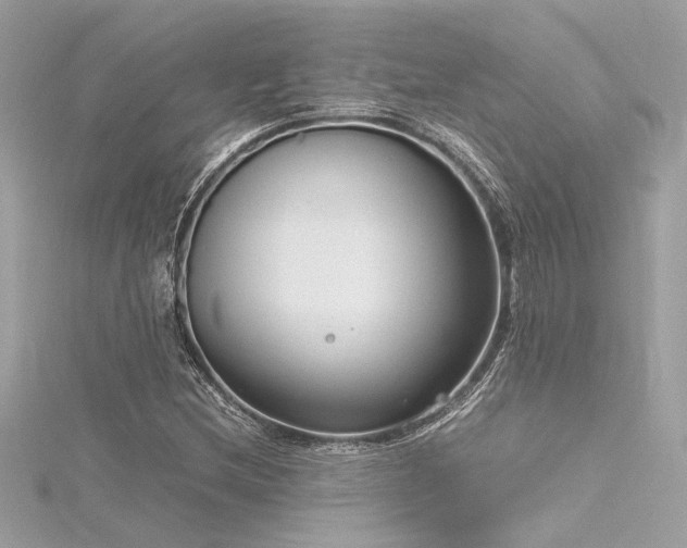 X0000116351212200912011403