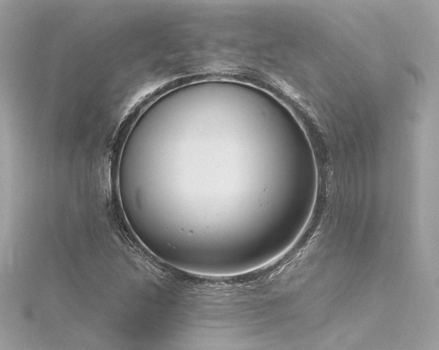 X0000116351214200912011403