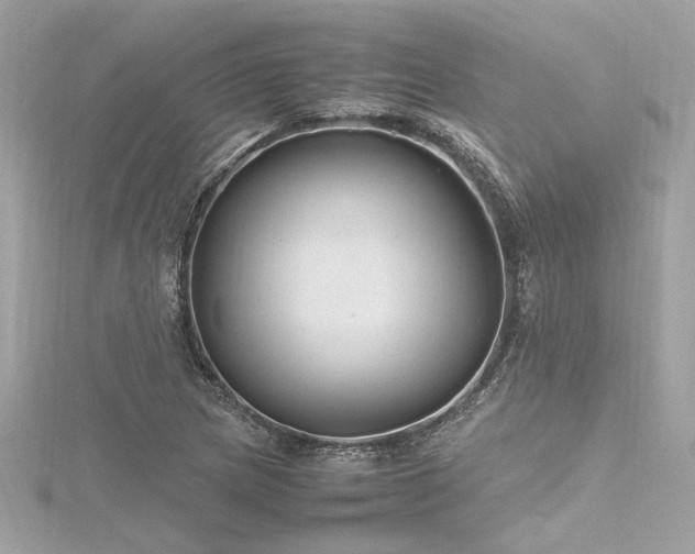 X0000116351217200912011404