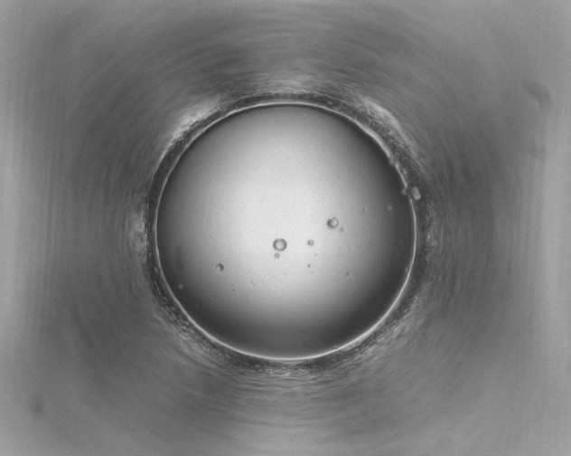 X0000116351218200912011404