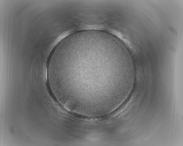 X0000116351221200912011404