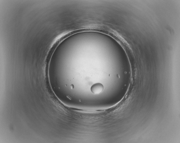 X0000116351222200912011404