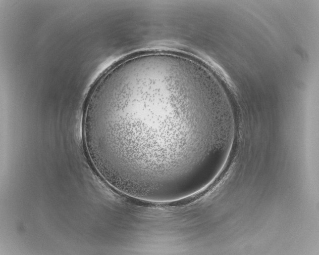 X0000116351224200912011404