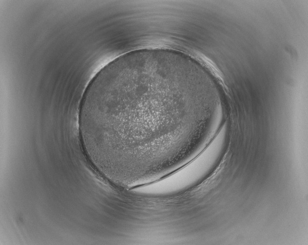 X0000116351226200912011404