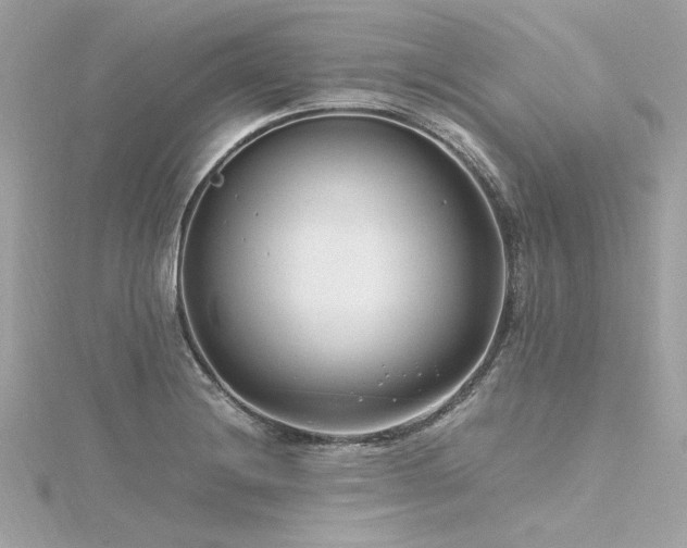 X0000116351228200912011404