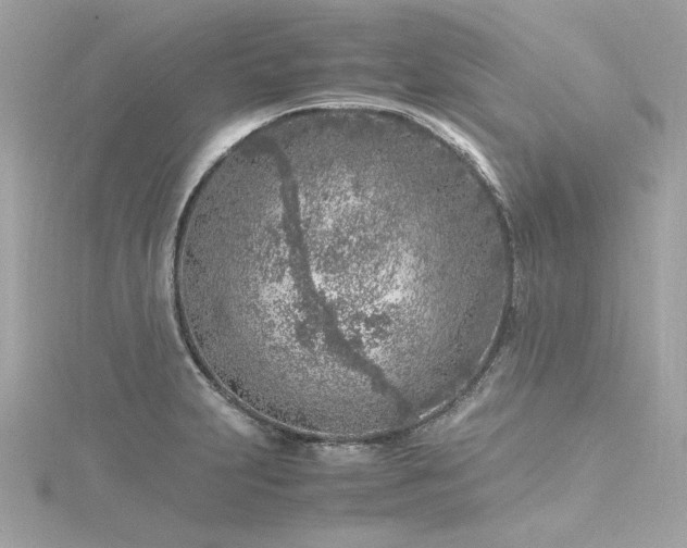 X0000116351231200912011404