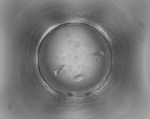 X0000116351232200912011404