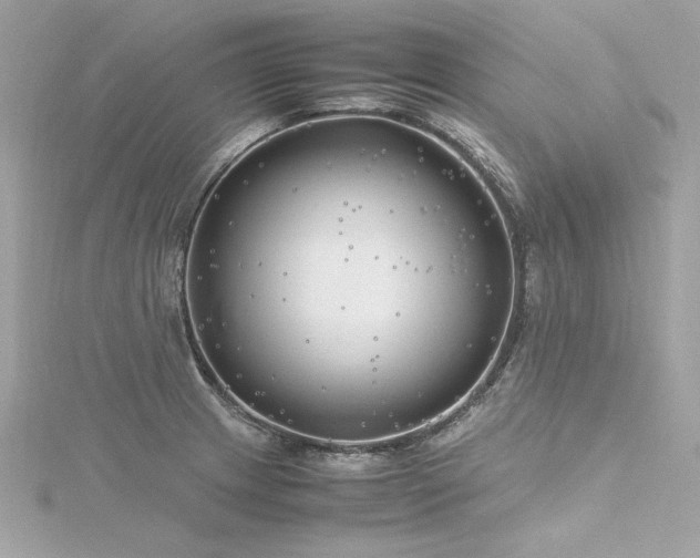 X0000116351233200912011404