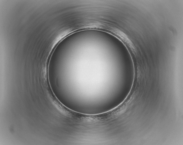 X0000116351234200912011404