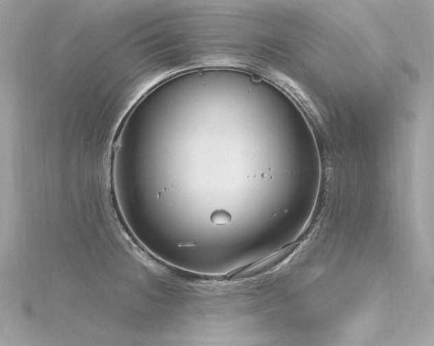 X0000116351236200912011404