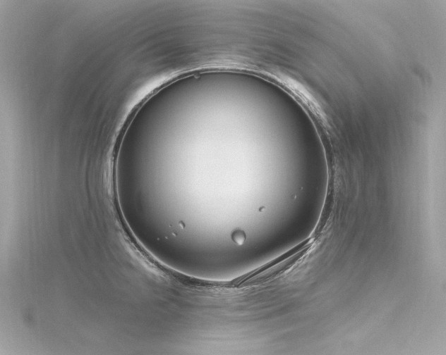 X0000116351238200912011404