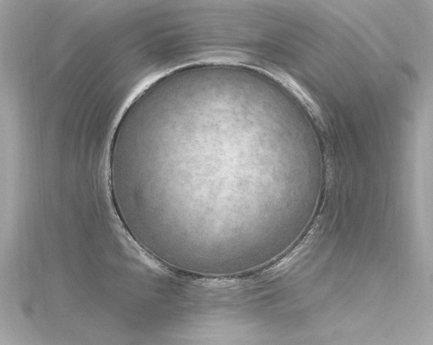 X0000116351240200912011404