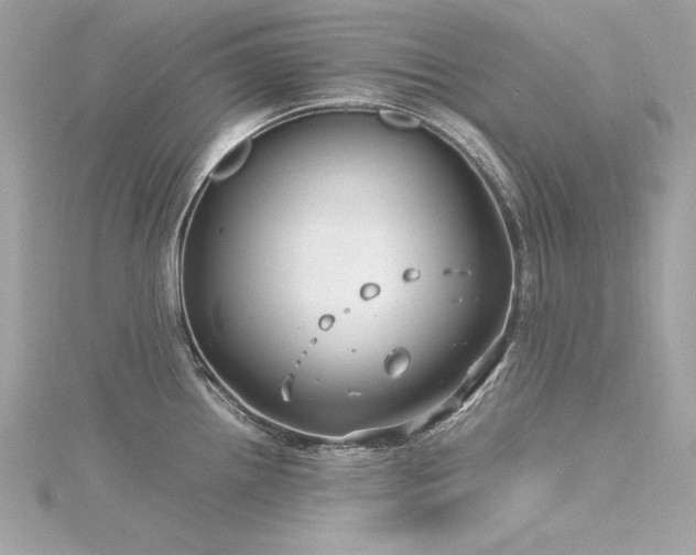 X0000116351242200912011404