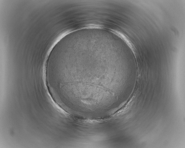 X0000116351243200912011404