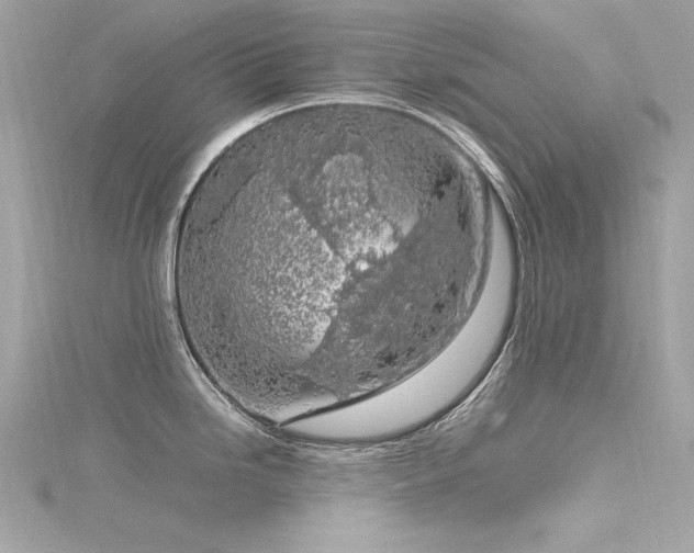 X0000116351246200912011404