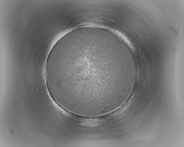 X0000116351247200912011404