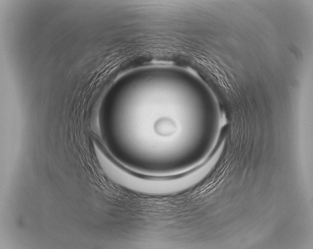 X0000116351249200912011403