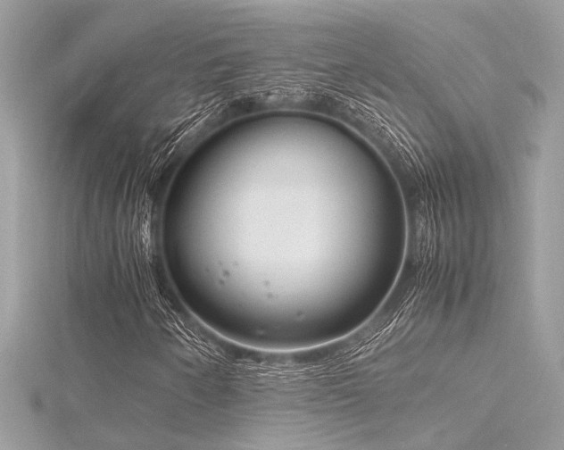 X0000116351250200912011403