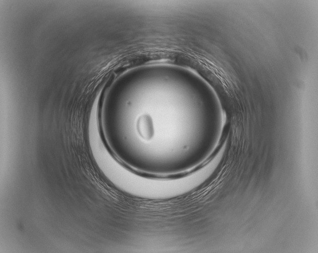 X0000116351252200912011403