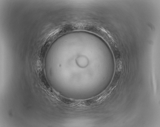 X0000116351253200912011403