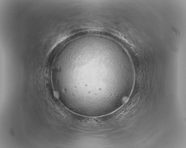 X0000116351255200912011403